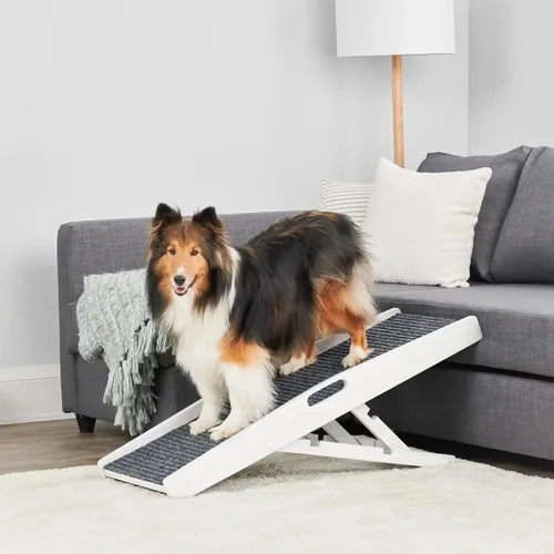 Carlson - Rampa para mascotas de interior de 39.5 pulgadas, color blanco, plegable, altura ajustable, incluye asas, alfombra antideslizante y patas