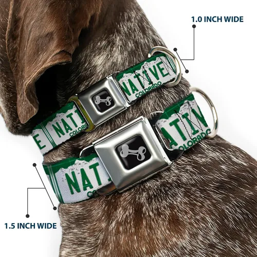Miniatura 2 de Buckle-Down Collar de perro con hebilla para cinturón de seguridad, placa de matrícula de Colorado, 1 pulgada de ancho, se adapta a cuello de 15 a