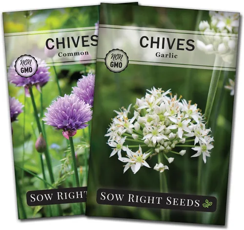 Sow Right Seeds - Colección de semillas de cebollino para plantar - Variedades comunes y de ajo sin OMG - Ideal para plantar al aire libre,