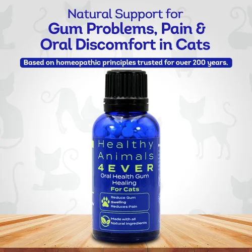 Miniatura 2 de HA4E - Salud oral para gatos - Alivia la inflamación, alivia el dolor y combate la enfermedad de las encías - Natural, sin OMG, orgánico, sin gluten