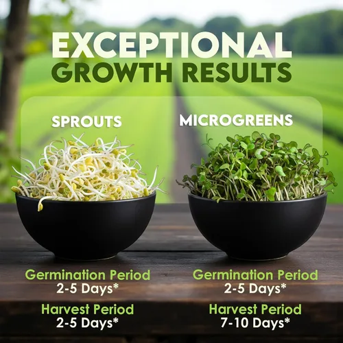 Miniatura 5 de Nature Jims Sprouts Semillas de trébol – Semillas germinantes orgánicas sin OMG para semillas frescas y ricas en nutrientes, llenas de vitaminas