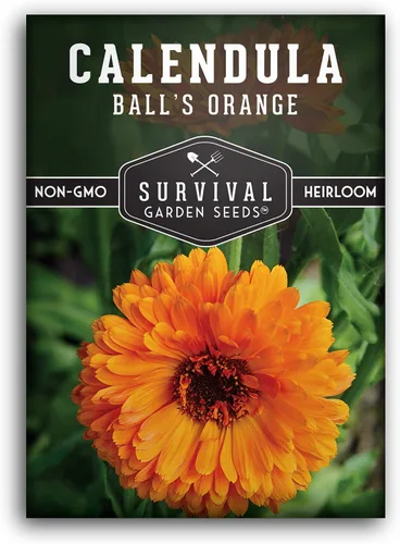 Survival Garden Seeds Ball's - Semilla de caléndula naranja para plantar, 1 paquete con instrucciones para cultivar hierbas medicinales en el huerto