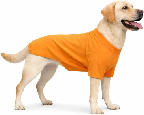 Miniatura 87 de Lovelonglong 2019 - Ropa para mascotas, Disfraces para Perro, Ropa Camisetas en blanco para Perros Grande Medianos Pequeños 100% Algodón 18