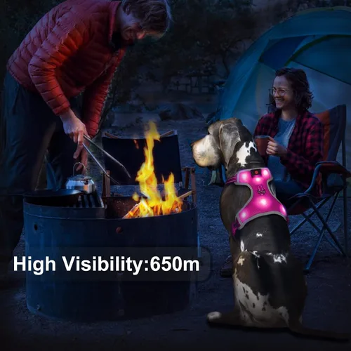 Miniatura 3 de Arnés para perro que brilla en la oscuridad recargable por USB (rosa, L)