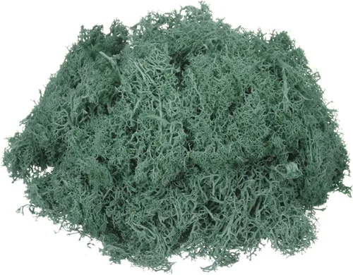 Miniatura 24 de MECCANIXITY Musgo de reno preservado de 4.6 onzas, musgo artificial decorativo gris para plantas en maceta, manualidades de interiores, centros