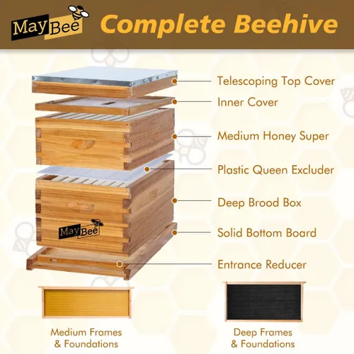Miniatura 2 de Beehive - Kit de iniciación de 8 marcos para colmenas de abejas y suministros, colmena de abejas para principiantes, colmena de abejas incluye 1