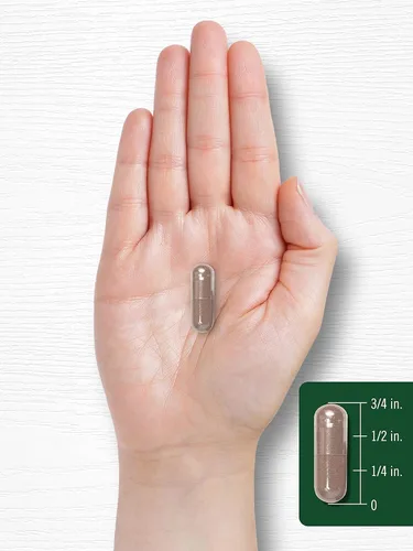 Miniatura 7 de Carlyle Suplemento de hongos Maitake 400 cápsulas Extracto de hierbas tradicional Sin OMG y sin gluten