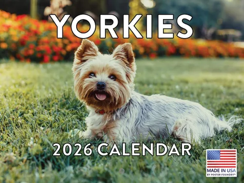 Miniatura 73 de Calendario de pared mensual 2025 Great Dane de 12 meses, fabricado en Estados Unidos