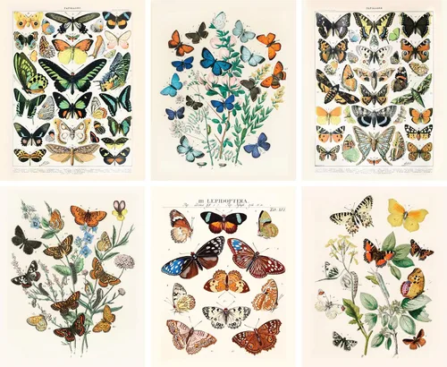 ARTIVO Impresiones artísticas vintage de mariposas, juego de 6, 8 x 10, decoración estética Cottagecore, collage de pared, carteles de arte de