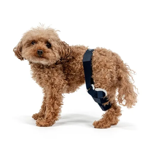 Balto Rodillera ortopédica ACL/CCL para perros - Estabilizador de piernas ajustable para dolor en las articulaciones, recuperación de lesiones y