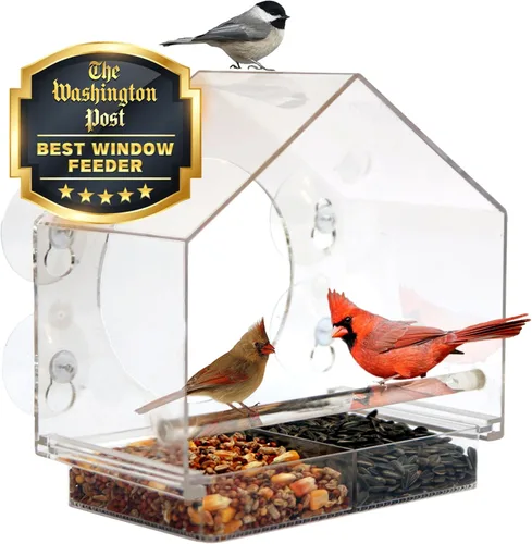 Nature Everywhere. Comedero de aves para vidrio (tamaño grande) Edición de regalo para días feriados Incluye una charola de fácil remoción, 4
