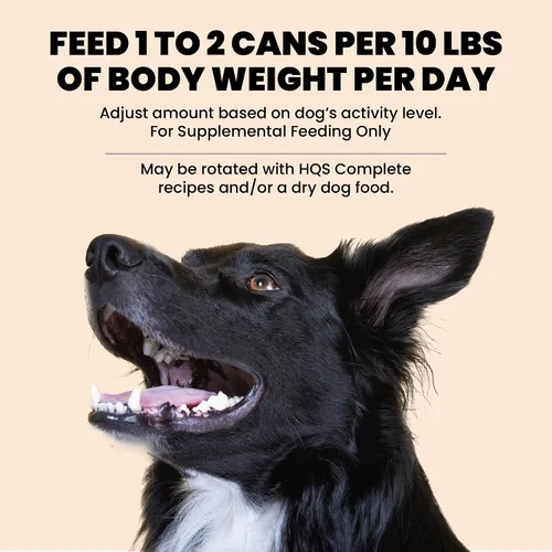 Miniatura 7 de almo nature HQS Natural - Alimento húmedo para perros, filete de atún en caldo, 9.87 onzas, paquete de 12
