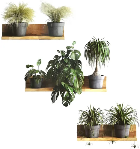 Maydahui Calcomanías de pared creativas de plantas y hojas verdes 3D Bonsái Tropical Plant (34 x 31 pulgadas) despegar pegar, extraíble, arte