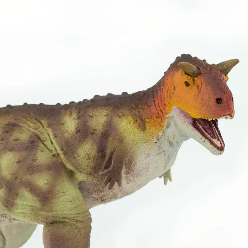 Miniatura 4 de Safari Ltd. Figura de Carnotaurus – Figura realista modelo de 11 pulgadas – Juguete educativo de dinosaurio para niños a partir de 3 años