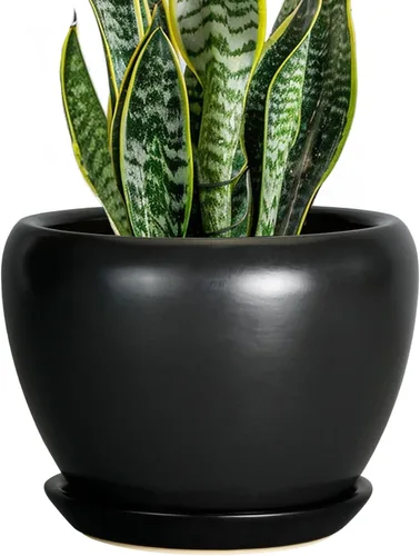 Miniatura 24 de Maceta de Cerámica Moderna con Esmalte para Suculentas con Agujero de Drenaje y Platillo, Maceta Redonda de 6 Pulgadas para Plantas de Flores