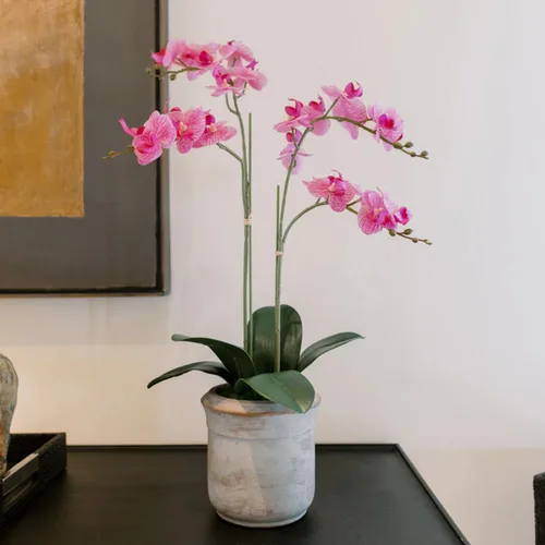 Miniatura 14 de CG Hunter Planta de orquídea sintética con suculentas, soporte de exhibición de flores artificiales de alta calidad para interiores de 23 pulgadas