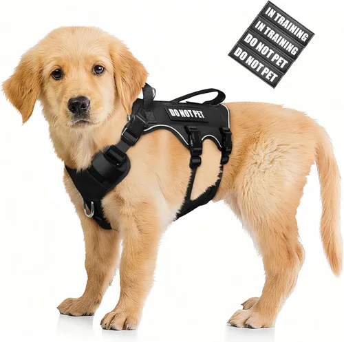 WINSEE - Arnés para perro a prueba de fugas, arnés Molle de servicio y trabajo con doble asa, chaleco táctico para mascotas con 4 parches para