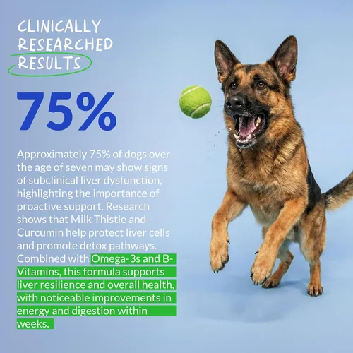 Miniatura 4 de Cardo mariano para perros – 90 masticables suaves – Apoyo hepático y renal – Apoyo hepático con EPA y DHA – Desintoxicación – Suplemento hepático