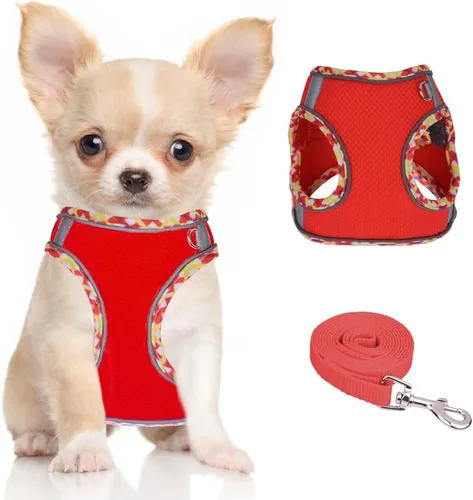 Miniatura 8 de Arnés para perro para perros pequeños y medianos sin tirones, ajustable para cachorros, arnés de malla transpirable reflectante para mascotas