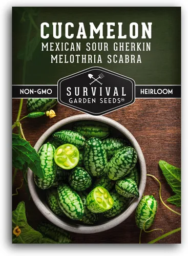 Semillas de Cucamelon para plantar, 1 paquete con instrucciones para plantar y cultivar semillas de pepino de sandía agrias en tu huerto casero,