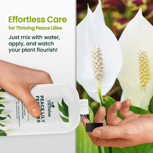 Miniatura 6 de Fertilizante líquido para plantas de lirio de la paz de 16oz - Produce 96 galones de fertilizante para lirio de la paz - Alimento líquido rico