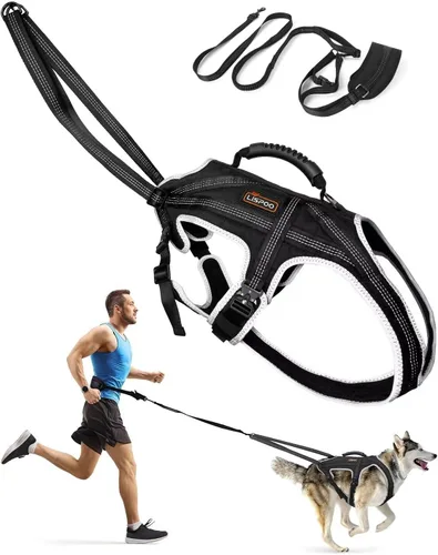 Juego de arnés para correr para perros con cinturón y correa de absorción de golpes | Hands-Free Control, Easy to Put On Design for Medium to Large