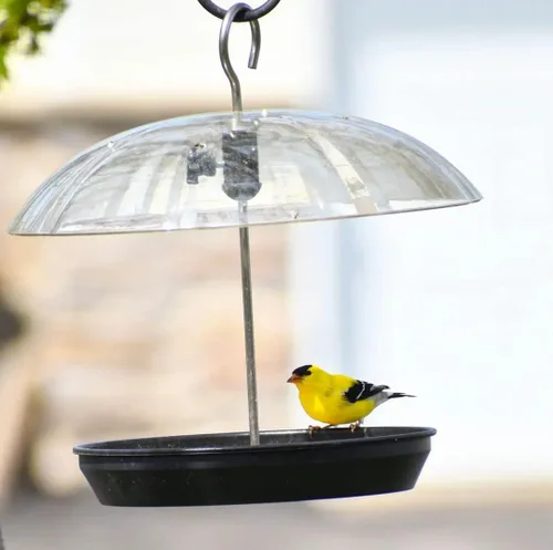 Miniatura 8 de Comedero para pájaros Kingsyard ajustable con plataforma para colgar al aire libre, comedero de bandeja de metal con parte superior abombada, atrae