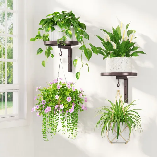 Miniatura 17 de LASZOLA 2 piezas de estantes de pared para plantas con ganchos para macetas de interior, soportes flotantes de ventana de metal resistente para Negro