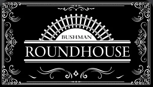 Miniatura 6 de Bushman Roundhouse Armónica 10 agujeros diatónico con funda acolchada con cremallera (Bb)