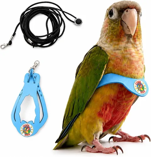 Miniatura 19 de Juego de arnés ajustable y correa para pájaros pequeños, apto para periquitos, conures, cacatúas, mejillas verdes, loros cuáqueros (verde, XS) 6350-6