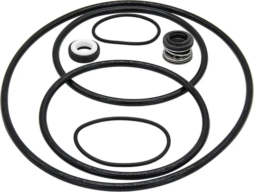 PS-200 Kit de reparación de reconstrucción apto para bomba de piscina Pentair Challenger Go-Kit 5, sello de eje y junta tórica reemplazar piezas