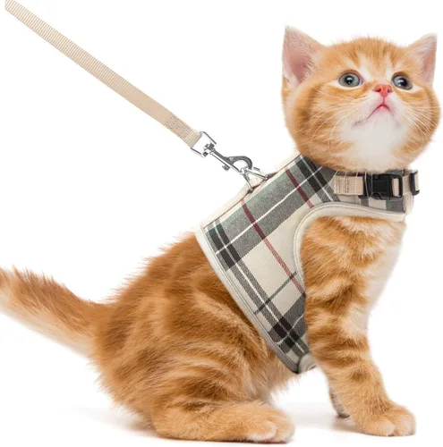 Pupteck - Juego de arnés de malla suave para gatos y correa para cachorros, arneses acolchados para mascotas a prueba de fugas para gatos, perros