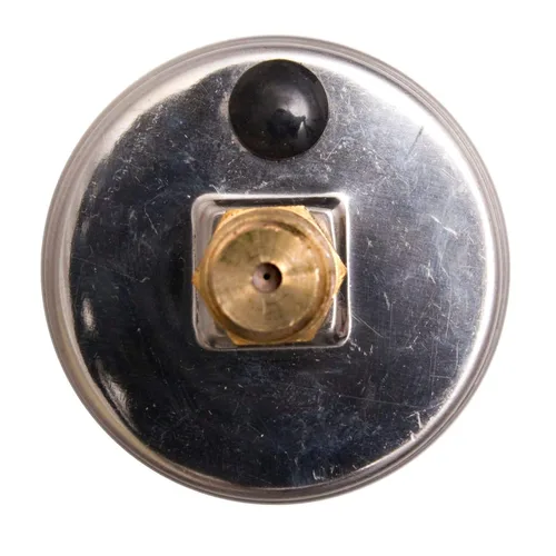 Miniatura 4 de Medidores de presión rellenos de líquido de 2 pulgadas - caja de acero inoxidable, latón, 1/4 "NPT, conexión de montaje trasero central, 0-4,000PSI