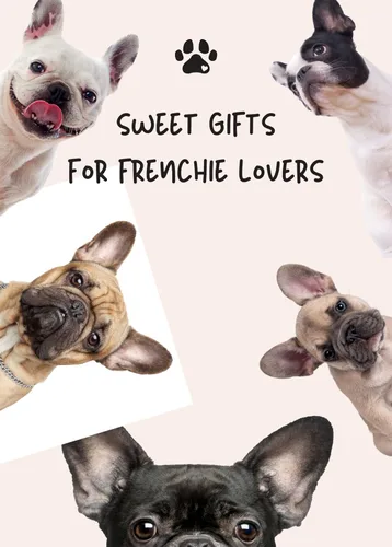 Miniatura 6 de Huglanket Regalos de bulldog francés, regalos franceses para mujeres, manta de franela súper suave y agradable a la piel, 50 x 65 pulgadas