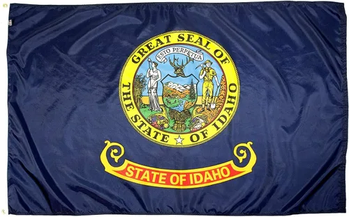 Miniatura 54 de FlagSource Bandera del estado de nailon de Iowa, fabricada en los Estados Unidos, 4 x 6 pies Iowa 4x6