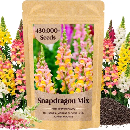 Miniatura 12 de Paquete a granel de más de 10000 semillas de Snapdragon, semillas de flores de dragón mixtas de 5 colores para plantar, semillas de Antirrhinum