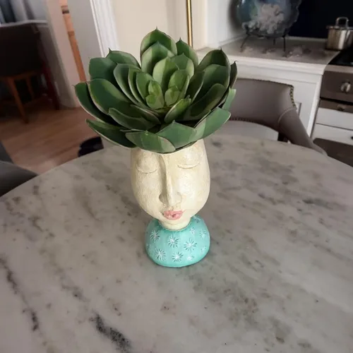 Miniatura 4 de DiliComing Macetas de Cara de Resina - Maceta de 8 Pulgadas para Interiores y Exteriores con Orificio de Drenaje para Plantas Suculentas, Decoración