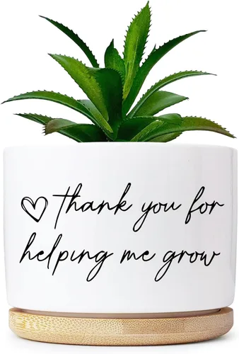 Gracias por Ayudarme a Crecer Macetas Graciosas de Plantas Gracias Maceta Sin Planta, Maceta Pequeña de Suculentas para Plantas de Interior para