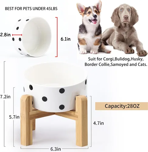 Miniatura 3 de Petygooing Tazón elevado/relevado de cerámica para perros de 15° inclinado para razas pequeñas y medianas, tazón antideslizante inclinado para Punto