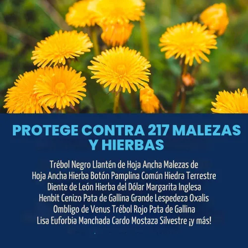 Miniatura 2 de BioAdvanced All-In-One - Eliminador de malezas y pasto de cangrejo I, concentrado, 40 onzas