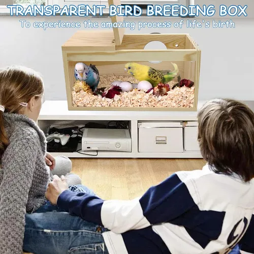 Miniatura 2 de BNOSDM Caja nido de periquitos, caja transparente para cría de nidos de pájaros con perca, casa de pájaros de madera para jaula de cacatúas
