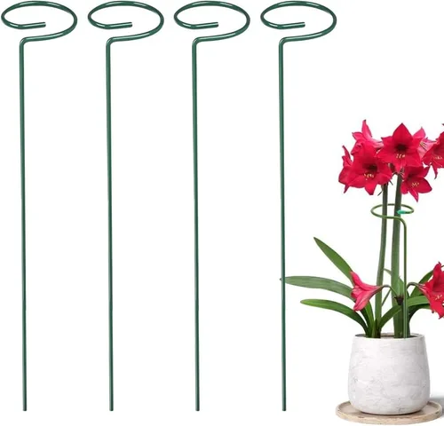 Miniatura 8 de Paquete de 4/8/12 estacas para plantas, estacas de soporte para plantas de 16/24/36 pulgadas, nuevo soporte de palos para plantas 2025, estacas