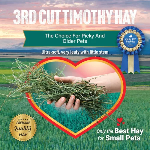 Miniatura 5 de Small Pet Select Heno Timothy de 3er corte, alimento animal para conejillo de indias, conejo, hámster, conejo o chinchilla, heno natural cultivado