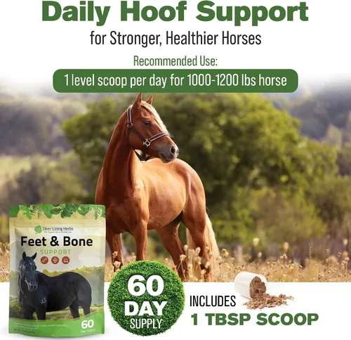Miniatura 4 de Silver Lining Herbs Suplemento para pies y huesos para caballos en polvo, tendones naturales, ligamentos y tejidos circundantes y suplemento