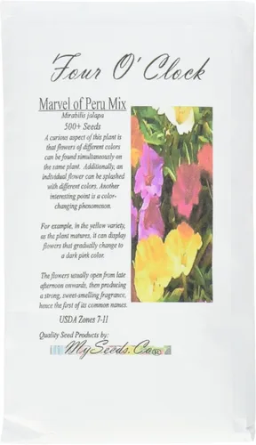 Paquete grande – Mezcla de 4 en punto (más de 500 semillas) semillas de flores fragantes de Mirabilis jalapa – Marvel Of Peru – Atractivo de abeja