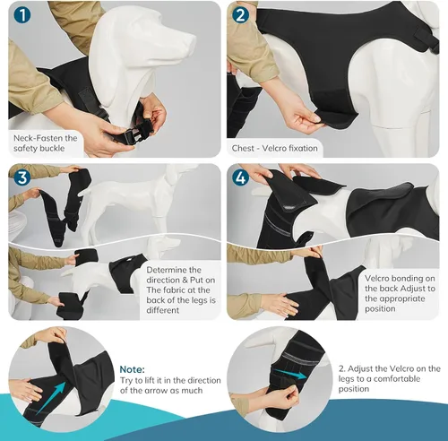 Miniatura 5 de Rodillera ajustable para perro para recuperación de desgarro y artritis del ligamento cruzado anterior - Soporte de patas traseras dobles