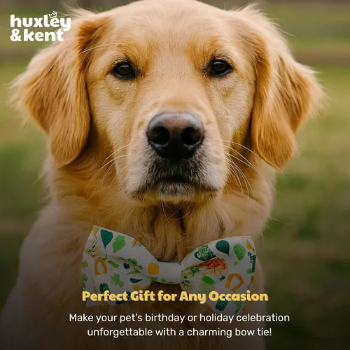 Miniatura 9 de Huxley & Kent Pajarita para mascotas para perros y gatos – Accesorio ajustable para el día de San Patricio – Lindo y cómodo para vacaciones