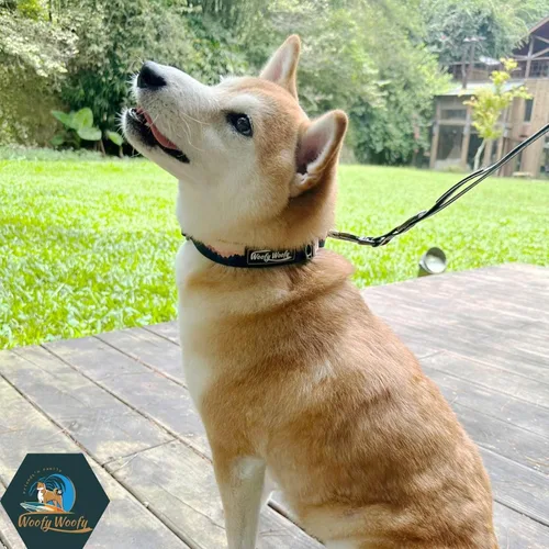 Miniatura 4 de Martingale - Collar de perro sin hebilla, a prueba de escapes, collar de perro de entrenamiento de seguridad, estampado de bosque, crepúsculo