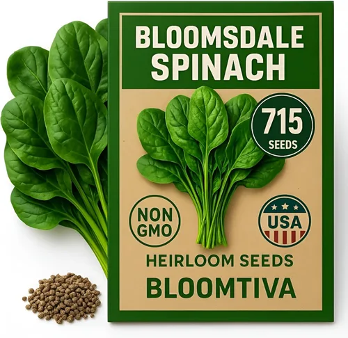Miniatura 8 de Semillas de lechuga romana – Parris Island Cos, más de 8000 semillas reliquia sin OGM, paquete a granel de alta germinación, cultivadas en EE.UU.
