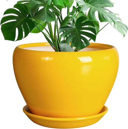 Miniatura 88 de Maceta de Cerámica Moderna con Esmalte para Suculentas con Agujero de Drenaje y Platillo, Maceta Redonda de 6 Pulgadas para Plantas de Flores